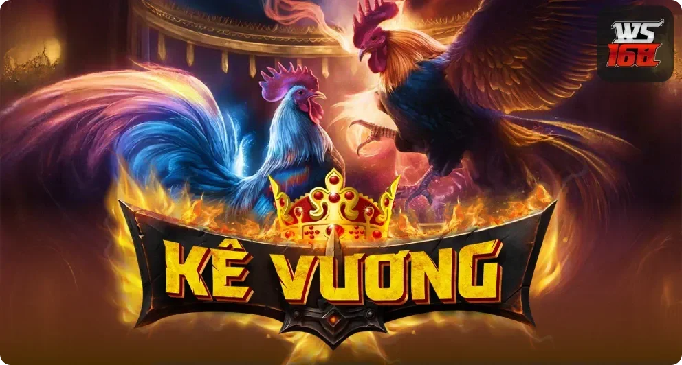 đá gà